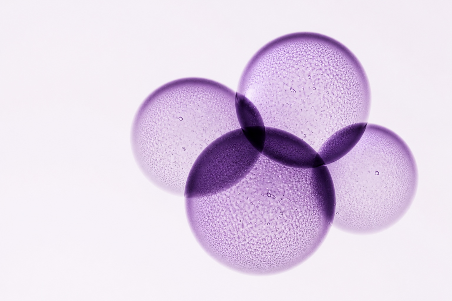 Translucent violet forms representing children's formulations